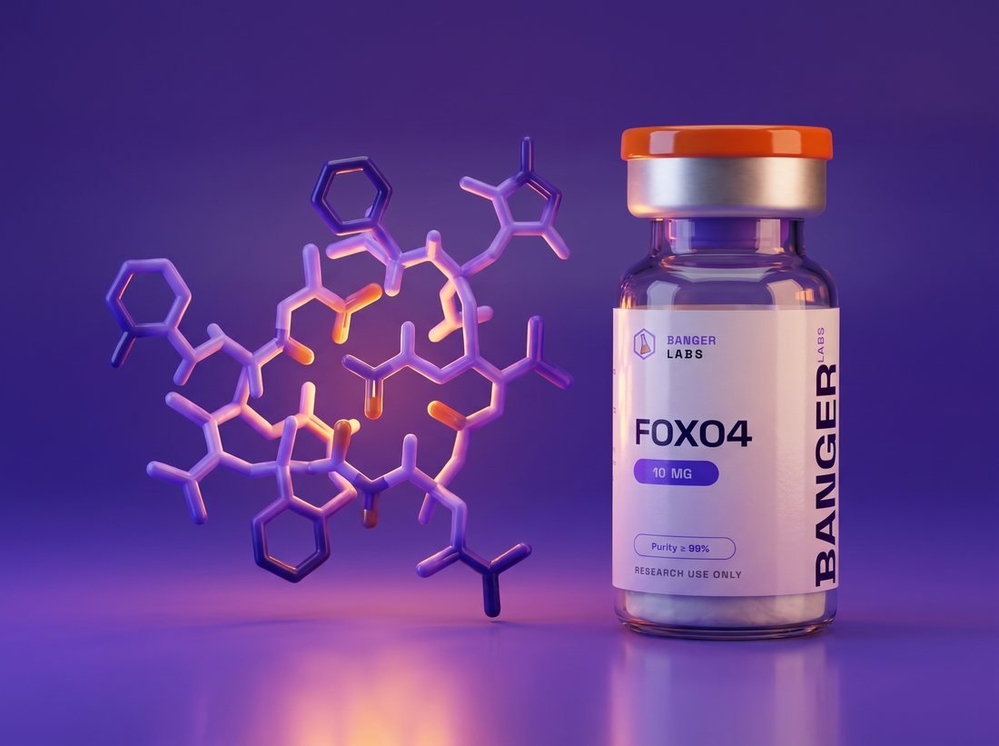 FOXO4-DRI — molecular structure (research illustration)
