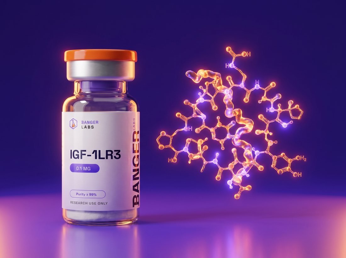 IGF-1 LR3 — molecular structure (research illustration)