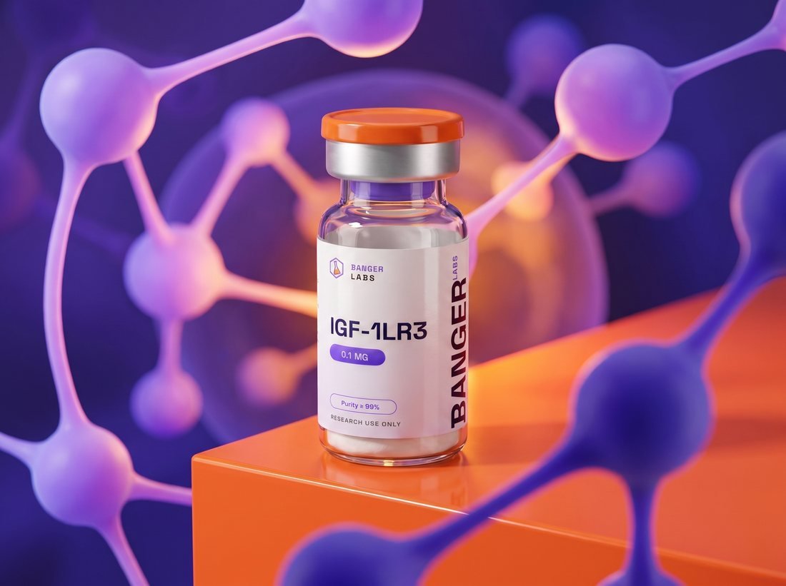 IGF-1 LR3 — receptor & cell-signaling research illustration